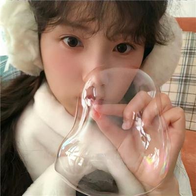 兔子的月亮