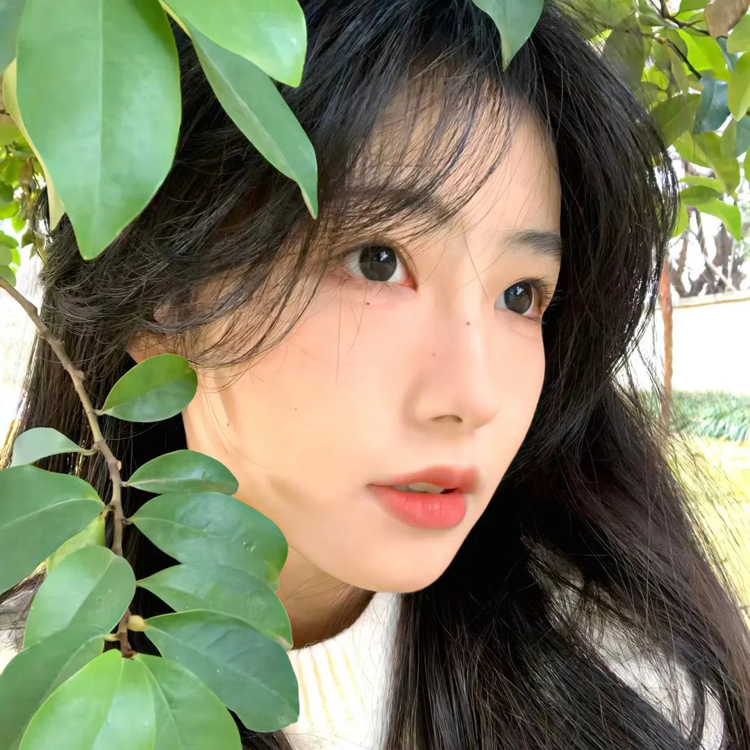 陌上又花开